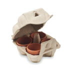 Egg carton growing kit - Image 2