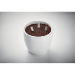 Herb Seedsticks® - Slika 5