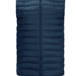 Men's Pilvi Vest