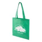 Nonwoven (80 gsm) shopping bag Taye - Image 3