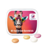 Hinged tin, white, Mentos chewy candy Fruit - Slika 2