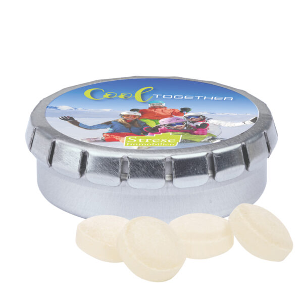 quick_box_japanische_minze_blank