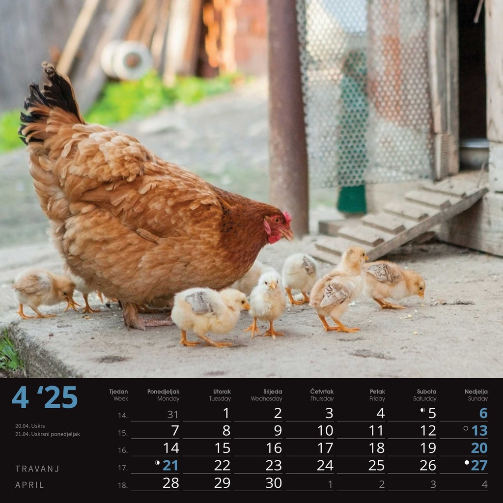 "SEOSKA IDILA" 13 list., dim:  33x40cm, PVC vrećica, P/50, color kalendar