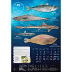 "S RIBARNICE" 13 list., dim: 33x55 cm, PVC vrećica, P/40, color kalendar - Image 11