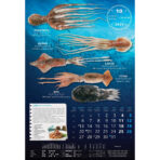 "S RIBARNICE" 13 list., dim: 33x55 cm, PVC vrećica, P/40, color kalendar - Image 12