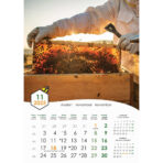 "PČELE" 13 list., dim: 30,5x50 cm, PVC vrećica, P/50, color kalendar - Image 13