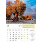 "MASLINE" 13 list., dim: 30,5x50 cm, PVC vrećica, P/50, color kalendar - Image 14