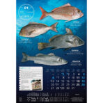 "S RIBARNICE" 13 list., dim: 33x55 cm, PVC vrećica, P/40, color kalendar - Image 3