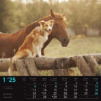 "SEOSKA IDILA" 13 list., dim:  33x40cm, PVC vrećica, P/50, color kalendar - Slika 3