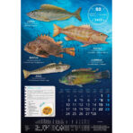 "S RIBARNICE" 13 list., dim: 33x55 cm, PVC vrećica, P/40, color kalendar - Image 4