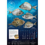 "S RIBARNICE" 13 list., dim: 33x55 cm, PVC vrećica, P/40, color kalendar - Image 7