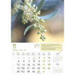 "MASLINE" 13 list., dim: 30,5x50 cm, PVC vrećica, P/50, color kalendar - Image 7