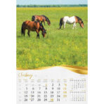 "MOJA ZLATNA SLAVONIJA i BARANJA"  13 list., dim: 33x55 cm, PVC vrećica, P/40, color kalendar - Image 7
