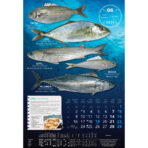"S RIBARNICE" 13 list., dim: 33x55 cm, PVC vrećica, P/40, color kalendar - Image 8