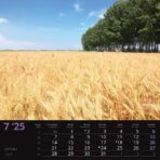 "SEOSKA IDILA" 13 list., dim:  33x40cm, PVC vrećica, P/50, color kalendar - Slika 9