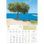 "MASLINE" 13 list., dim: 30,5x50 cm, PVC vrećica, P/50, color kalendar - Image 10