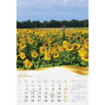 "MOJA ZLATNA SLAVONIJA i BARANJA"  13 list., dim: 33x55 cm, PVC vrećica, P/40, color kalendar - Image 10